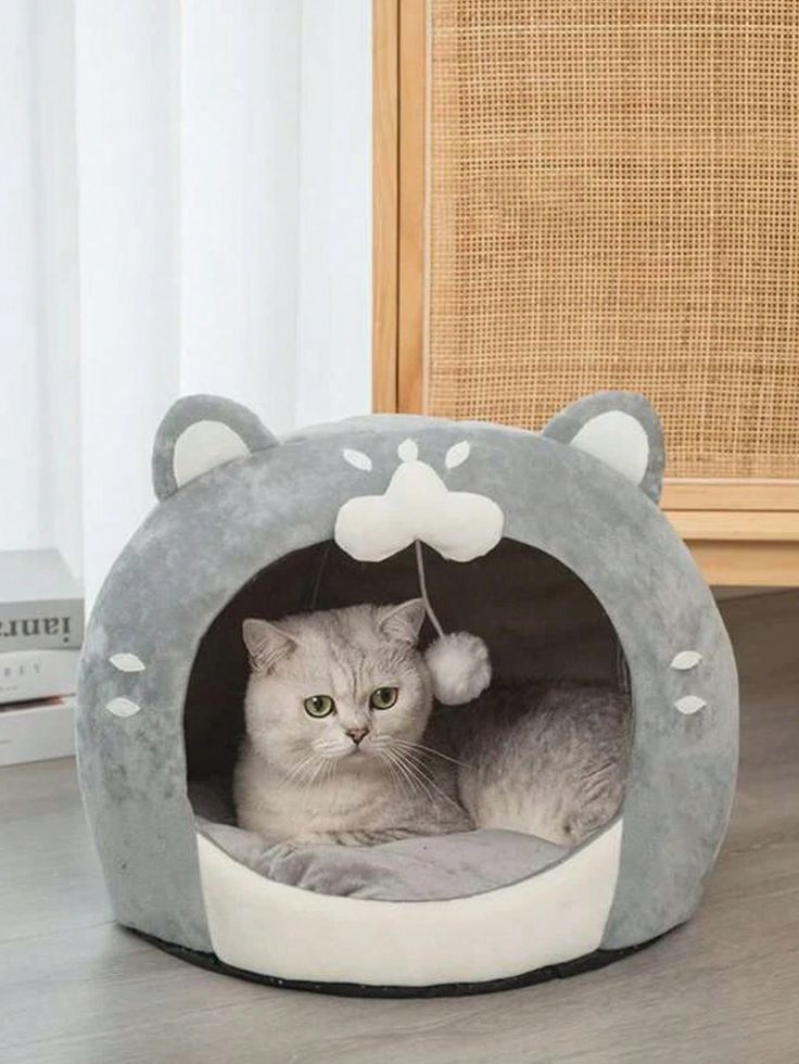 Nido mascotas gatito