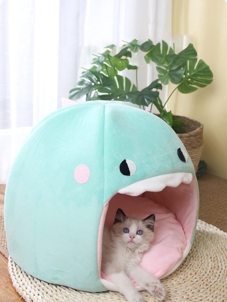 Nido mascotas pacman